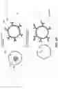 Fig. 05 - SINGLE CELL SECRETOME ANALYSIS