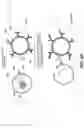 Fig. 08 - SINGLE CELL SECRETOME ANALYSIS