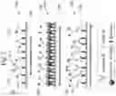 Fig. 03 - AUTOMATED PATHOGEN AND ANTIBODY RAPID TEST