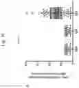 Fig. 17 - AUTOMATED PATHOGEN AND ANTIBODY RAPID TEST