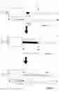 Fig. 02 - METHOD AND DEVICE FOR MEASURING THE FIBRINOGEN CONCENTRATION IN BLOOD SAMPLES