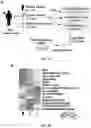 Fig. 02 - Method of evaluating progression of an infectious disease and/or inflammatory disease
