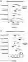 Fig. 04 - Method of evaluating progression of an infectious disease and/or inflammatory disease
