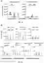 Fig. 06 - Method of evaluating progression of an infectious disease and/or inflammatory disease
