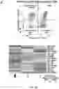Fig. 08 - Method of evaluating progression of an infectious disease and/or inflammatory disease