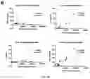 Fig. 22 - Method of evaluating progression of an infectious disease and/or inflammatory disease
