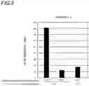 Fig. 06 - HUMAN METAPNEUMOVIRUS DETECTION REAGENT