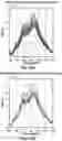 Fig. 19 - METHOD FOR SCREENING PERSONALIZED INTESTINAL ENVIRONMENT-IMPROVING MATERIAL AND COMPOSITION THEREFOR