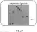 Fig. 35 - METHOD FOR SCREENING PERSONALIZED INTESTINAL ENVIRONMENT-IMPROVING MATERIAL AND COMPOSITION THEREFOR