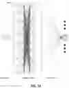 Fig. 38 - METHOD FOR SCREENING PERSONALIZED INTESTINAL ENVIRONMENT-IMPROVING MATERIAL AND COMPOSITION THEREFOR