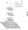 Fig. 42 - METHOD FOR SCREENING PERSONALIZED INTESTINAL ENVIRONMENT-IMPROVING MATERIAL AND COMPOSITION THEREFOR