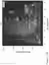 Fig. 15 - Concurrent analysis of multiple analytes