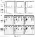 Fig. 03 - COMPOSITIONS AND METHODS FOR DETECTION OF DISEASE-RELATED ANTIBODY