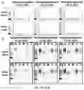 Fig. 04 - COMPOSITIONS AND METHODS FOR DETECTION OF DISEASE-RELATED ANTIBODY