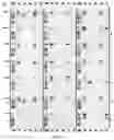 Fig. 07 - COMPOSITIONS AND METHODS FOR DETECTION OF DISEASE-RELATED ANTIBODY