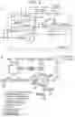 Fig. 02 - METHODS AND COMPOSITIONS FOR DIAGNOSING DEPRESSION