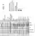 Fig. 07 - METHODS AND COMPOSITIONS FOR DIAGNOSING DEPRESSION