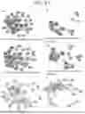 Fig. 22 - METHODS AND COMPOSITIONS FOR DIAGNOSING DEPRESSION