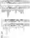 Fig. 30 - METHODS AND COMPOSITIONS FOR DIAGNOSING DEPRESSION