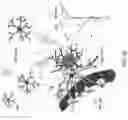 Fig. 18 - DIFFUSION DICTIONARY IMAGING (DDI) OF MICROSTRUCTURE AND INFLAMMATION