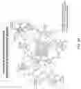 Fig. 31 - DIFFUSION DICTIONARY IMAGING (DDI) OF MICROSTRUCTURE AND INFLAMMATION