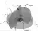 Fig. 01 - AUTONOMOUS MOBILE AIRCRAFT INSPECTION SYSTEM