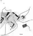 Fig. 03 - AUTONOMOUS MOBILE AIRCRAFT INSPECTION SYSTEM