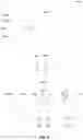 Fig. 10 - PERCEIVING OBJECTS BASED ON SENSING SURFACES AND SENSING SURFACE MOTION