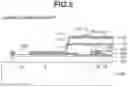 Fig. 06 - Radiation imaging apparatus and manufacturing method of same