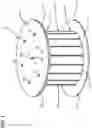 Fig. 02 - Fiber optic spool arrangement; and method