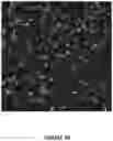 Fig. 32 - High speed scanning systems for super resolution imaging