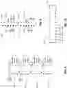 Fig. 06 - Line pattern projections for three dimension display