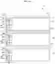 Fig. 15 - Display device