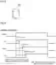 Fig. 04 - Synchronous reset signal generation circuit and digital processing device