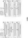 Fig. 55 - MANAGING WRITE TRANSACTIONS USING INDEX