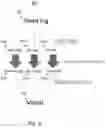 Fig. 03 - PROCESS MINING FOR MULTI-INSTANCE PROCESSES