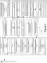 Fig. 03 - Predictive performance indicator for storage devices