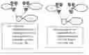 Fig. 18 - Ganaka: A Computer Operating on Models