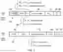 Fig. 04 - Page table structure