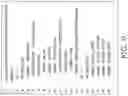 Fig. 11 - AUTOMATED TRANSFORMATION DOCUMENTATION OF MEDICAL DATA