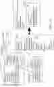 Fig. 13 - Executing one query based on results of another query