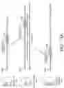 Fig. 19 - Executing one query based on results of another query