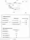 Fig. 07 - DETERMINING AN ONTOLOGY FOR GRAPHS