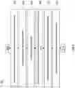 Fig. 07 - System and method for at-source masking of sensitive data