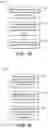 Fig. 04 - Entity type identification for named entity recognition systems