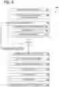 Fig. 06 - WEAK NEURAL ARCHITECTURE SEARCH (NAS) PREDICTOR