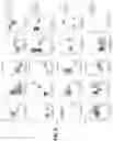 Fig. 06 - SYSTEM IMPLEMENTING ENCODER-DECODER NEURAL NETWORK ADAPTED TO PREDICTION IN BEHAVIORAL AND/OR PHYSIOLOGICAL CONTEXTS