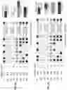 Fig. 10 - SGCNAX: A SCALABLE GRAPH CONVOLUTIONAL NEURAL NETWORK ACCELERATOR WITH WORKLOAD BALANCING