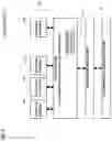 Fig. 10 - USING GENERATIVE ADVERSARIAL NETWORKS TO CONSTRUCT REALISTIC COUNTERFACTUAL EXPLANATIONS FOR MACHINE LEARNING MODELS