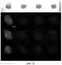 Fig. 11 - Apparatus for determining 3-dimensional atomic level structure and method thereof